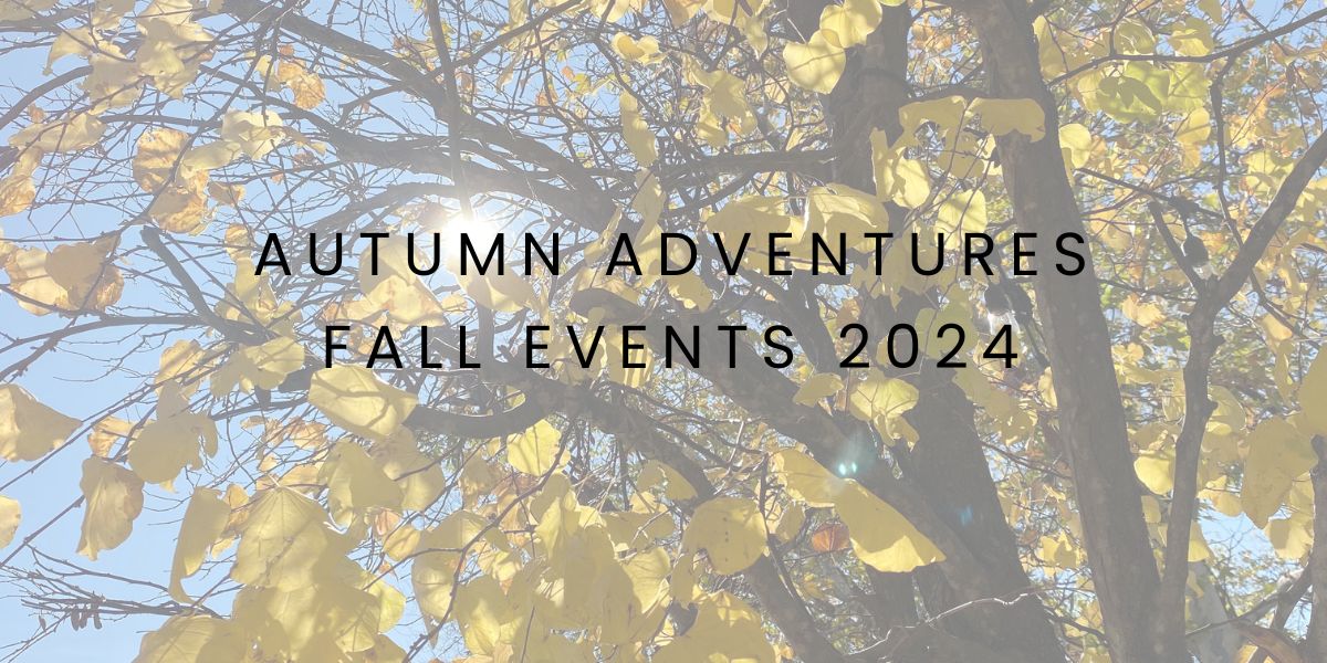 Autumn Adventures: Fall Events on Oahu and Big Island for 2024 